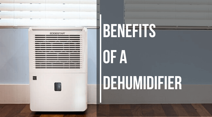 Dehumidifier – An Indispensable Appliance for Every Family This Summer